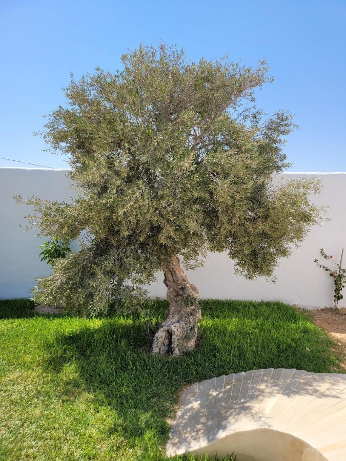 Villa La Palmeraie D'Arkou, Grande Piscine Εξωτερικό φωτογραφία