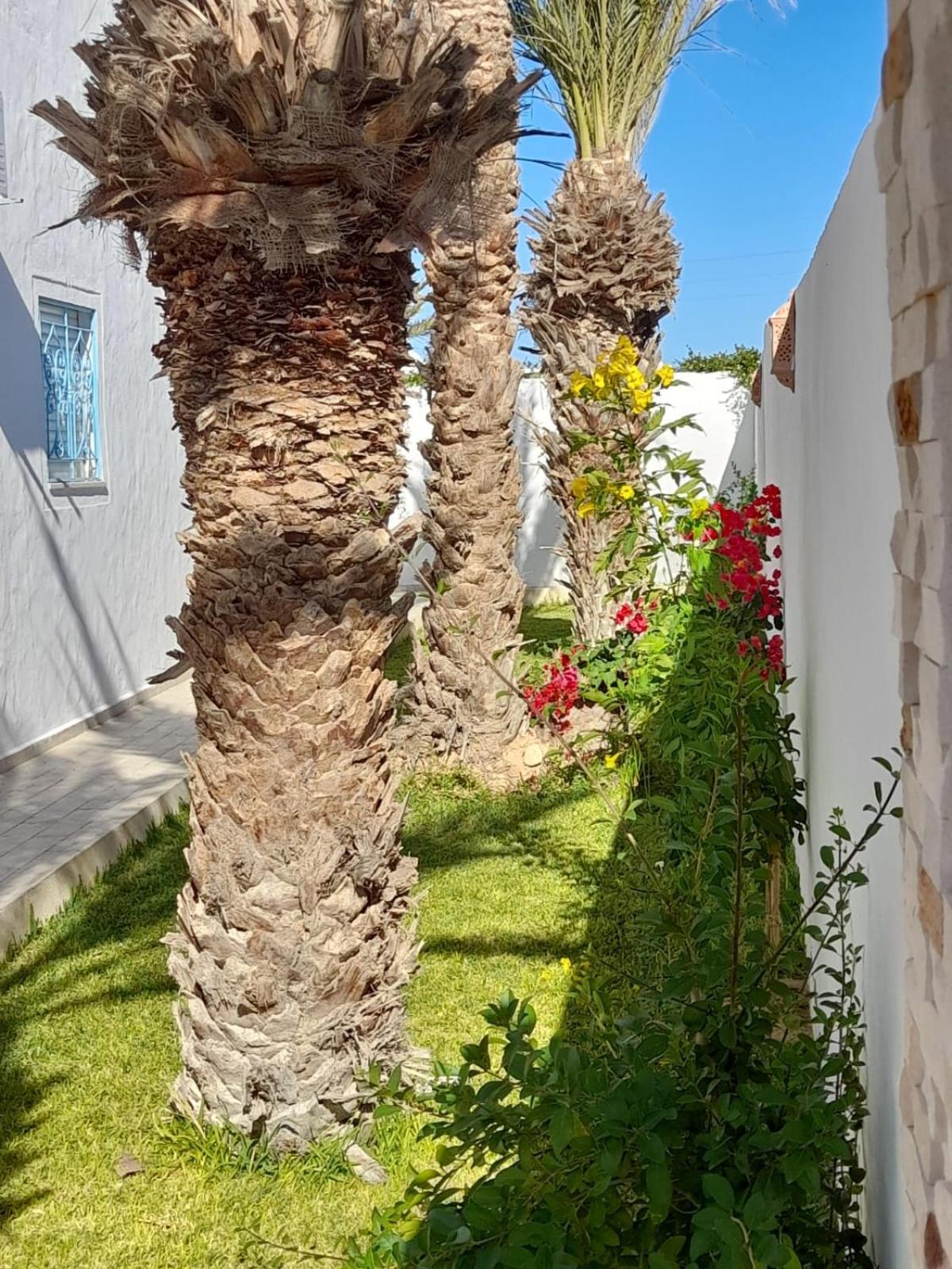Villa La Palmeraie D'Arkou, Grande Piscine Εξωτερικό φωτογραφία